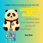 Cute Panda Night Lamp